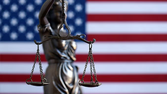 Vienna LLP